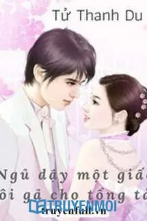 Ngủ Dậy Một Giấc Tôi Gả Cho Tổng Tài