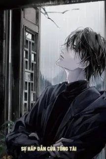 Sự Hấp Dẫn Của Tổng Tài