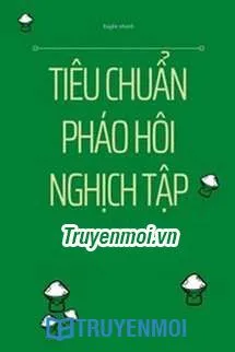 Tiêu Chuẩn Pháo Hôi Nghịch Tập