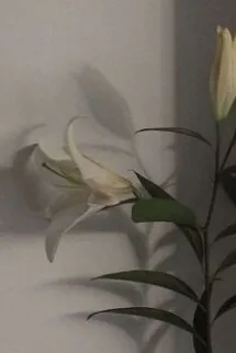 Tiểu Soái Ca, Tớ Nhìn Trúng Cậu Rồi