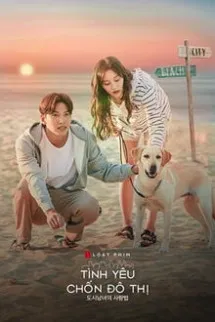 Tình Yêu Chốn Đô Thị