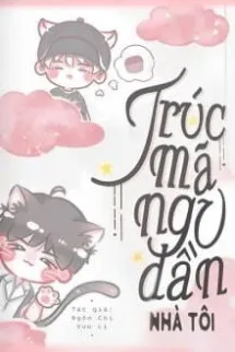 Trúc Mã Ngu Đần Nhà Tôi