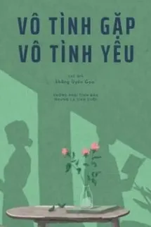 Vô Tình Gặp Vô Tình Yêu